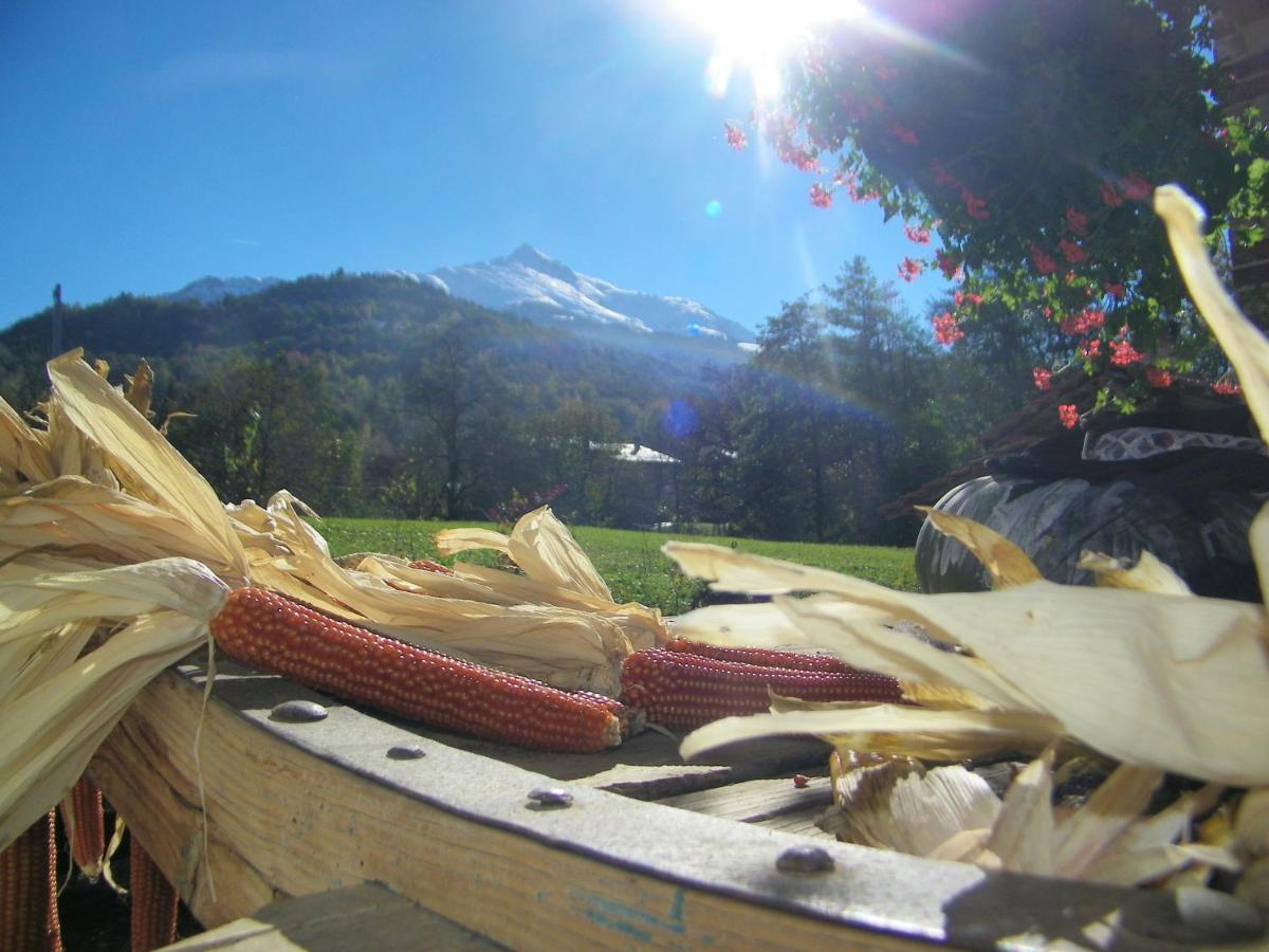 Bed and Breakfast Ciabot Besimauda Peveragno Esterno foto